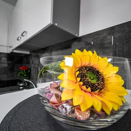 Joso Appartement Rtina